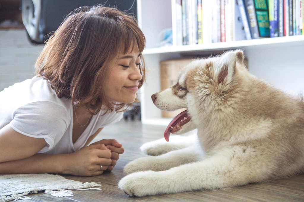 pet lover